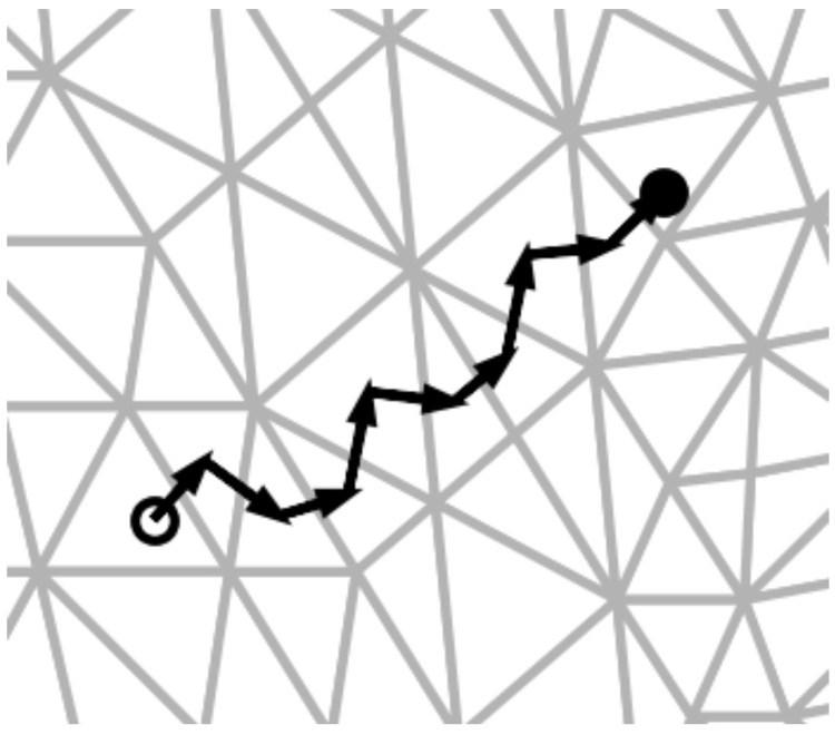 Adjacency based particle tracking